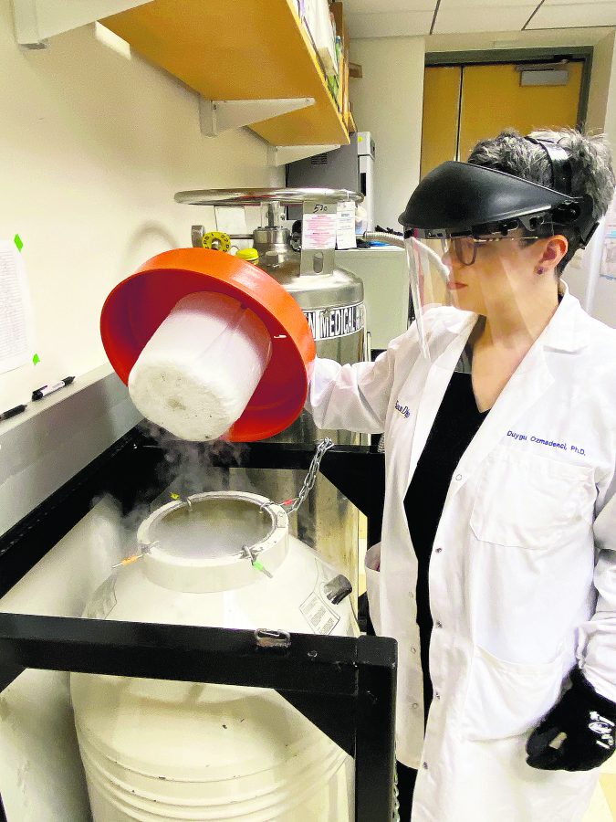 Dr. Duygu Özmadenci, yumurtalık kanserinin tedavisinde umut olacak FAK proteini ile ilgili çalışmalarını yürüttüğü San Diego Üniversitesi Kanser Araştırma Merkezi laboratuvarında.